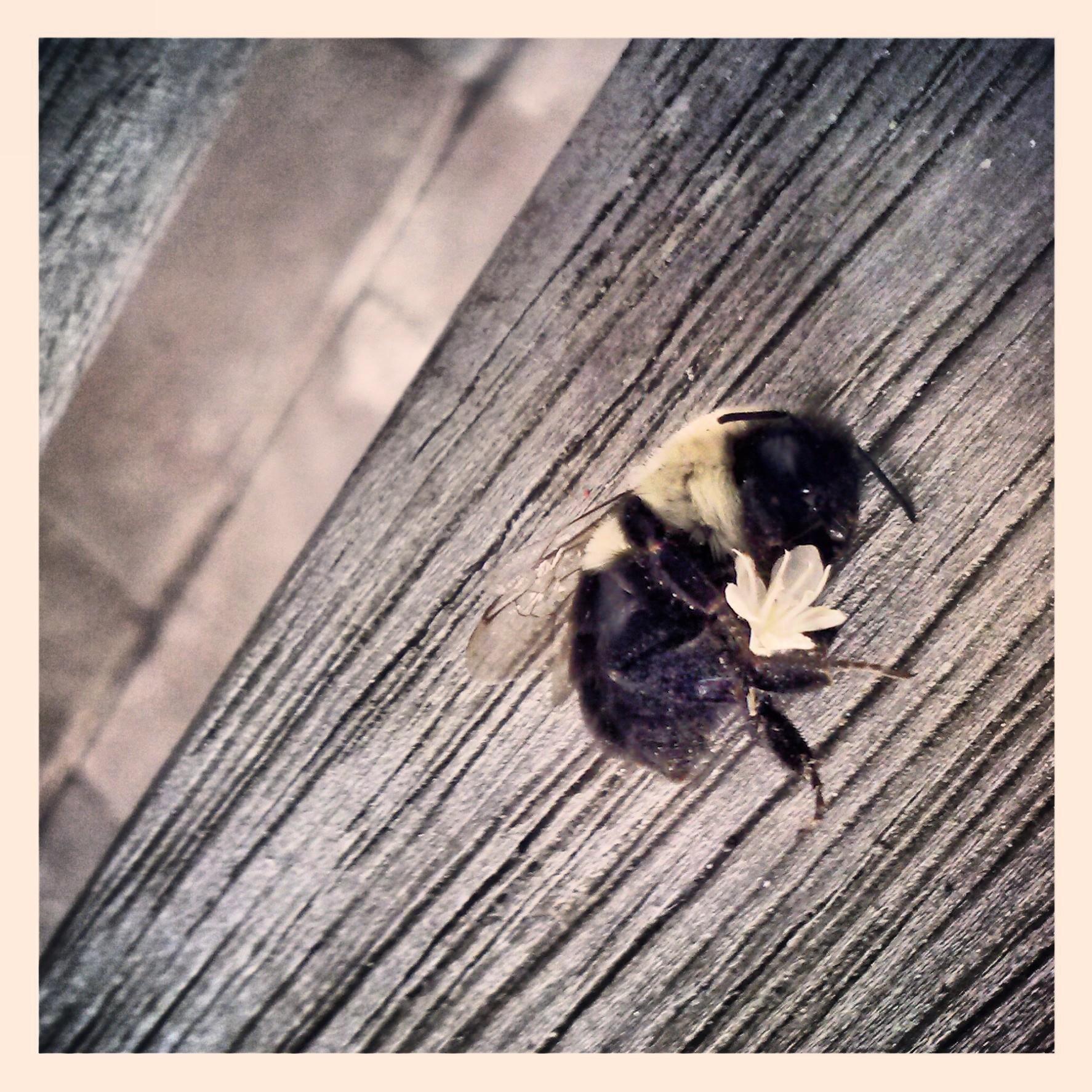 marisa_was_here's profile picture. 