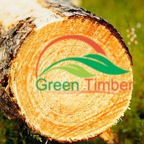 greentimber1005's profile picture. 