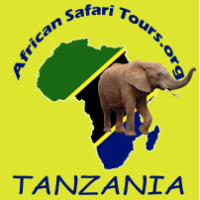 Deals with#Safari programs#Honeymoon safaris#Family safaris#Lodge Safaris#Camping Safaris#Beach Holidays#Wildebeest Migration#Cultural Tours and MT climbing