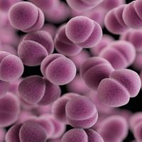 Cambridge DDU (@cambridgeddu) 's Twitter Profile