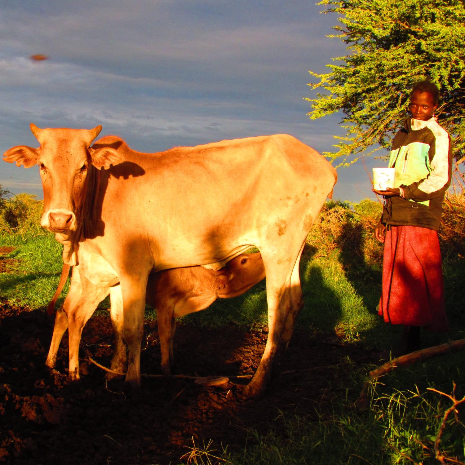 Livestock, Livelihoods and Health is researching animal-to-human disease transmission in Tanzania. Newsletter: https://t.co/RezAQh2ez1 Funded by ZELS.