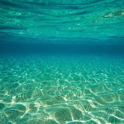 lisawhitejd's profile picture. 