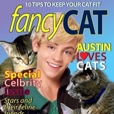 Fancy Cat Magazine (@FancyCat_Mag) | Twitter