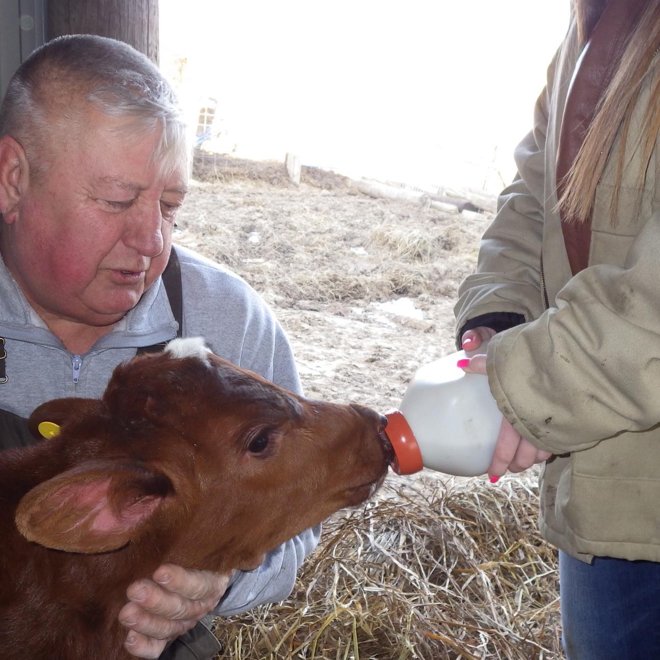 Retired Semi driver of 36 years, retired auctioneer. Raise cattle, School bus driver, 2 sons an 5 grandchildren