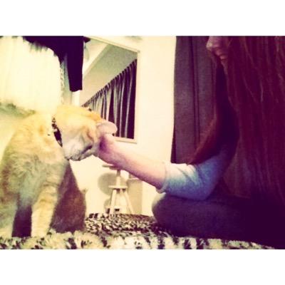 joyxoerlemans's profile picture. Professional human being. Embrace your weirdness.☮