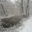 Dan Ricketts - @danny_ricketts - Twitter