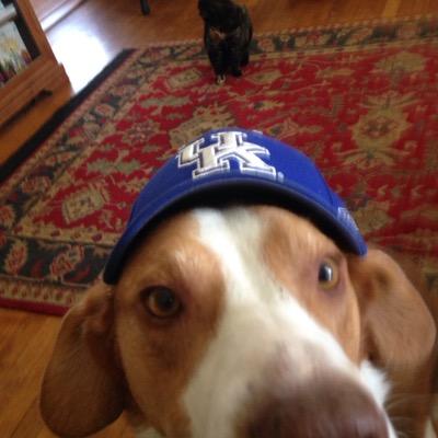 Retired merchant and a Big Blue fan all my life!