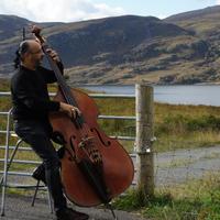 Mike Green (@mikegreenbass) 's Twitter Profile