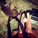 Ellen Orr - @EllenOrrTeaches - Twitter