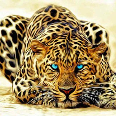 MOuqour's profile picture. 