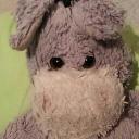 Nicolas Roche - @nicoroche07 - Twitter