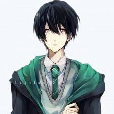 15. Orgulloso Slytherin y sangre pura. Buscador. R.A.B. ~Toujours Pur~