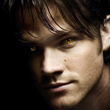 Yellow_Eyed_Sam Profile Picture
