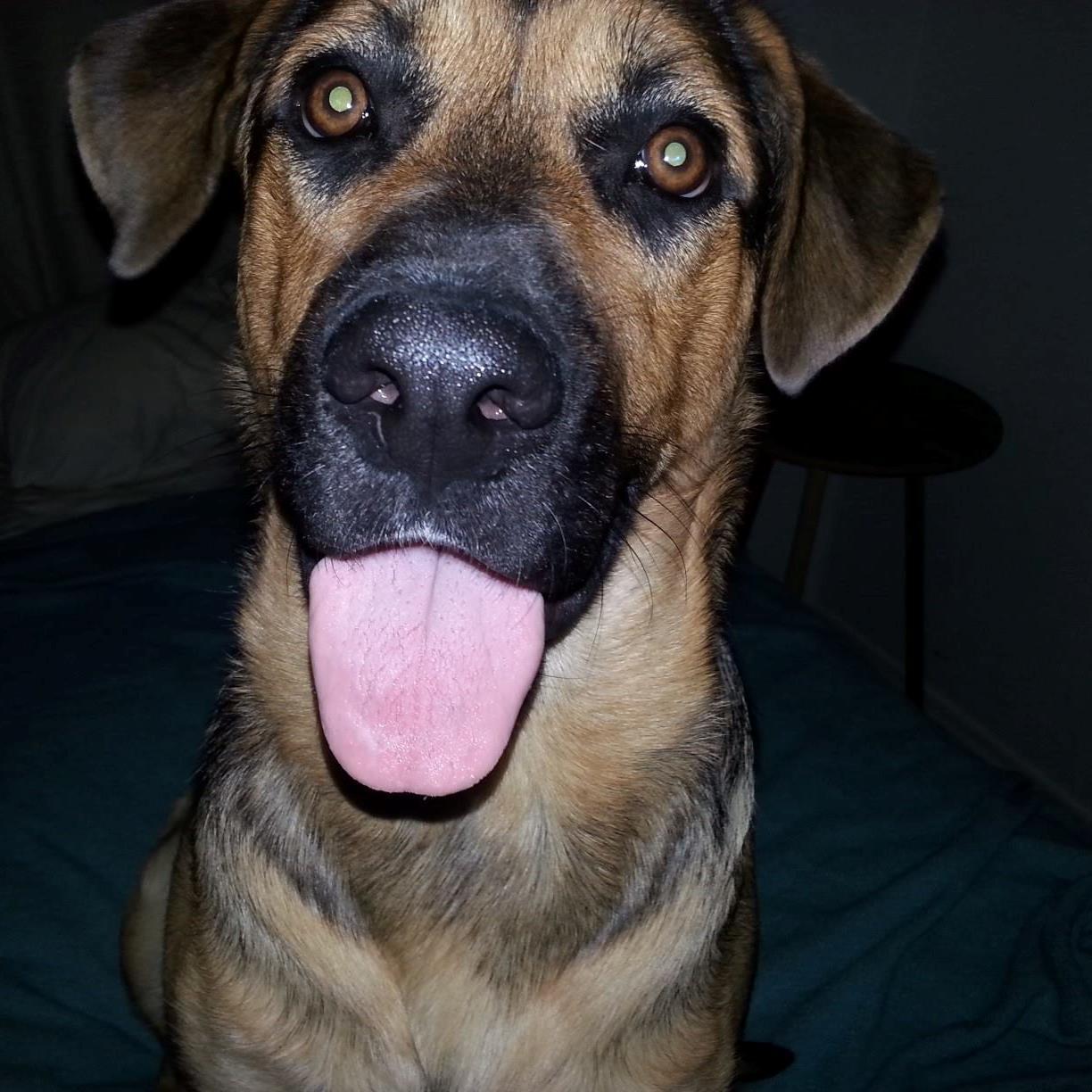 TheUthenizer's profile picture. 