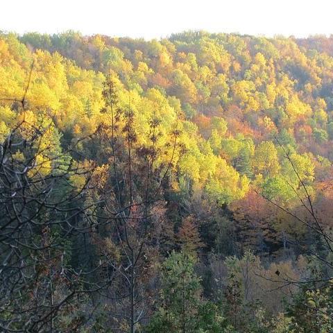 CASIOPA is the Centre for Applied Sciences in Ontario Protected Areas; cross-sectoral research & solutions for parks & protected areas.