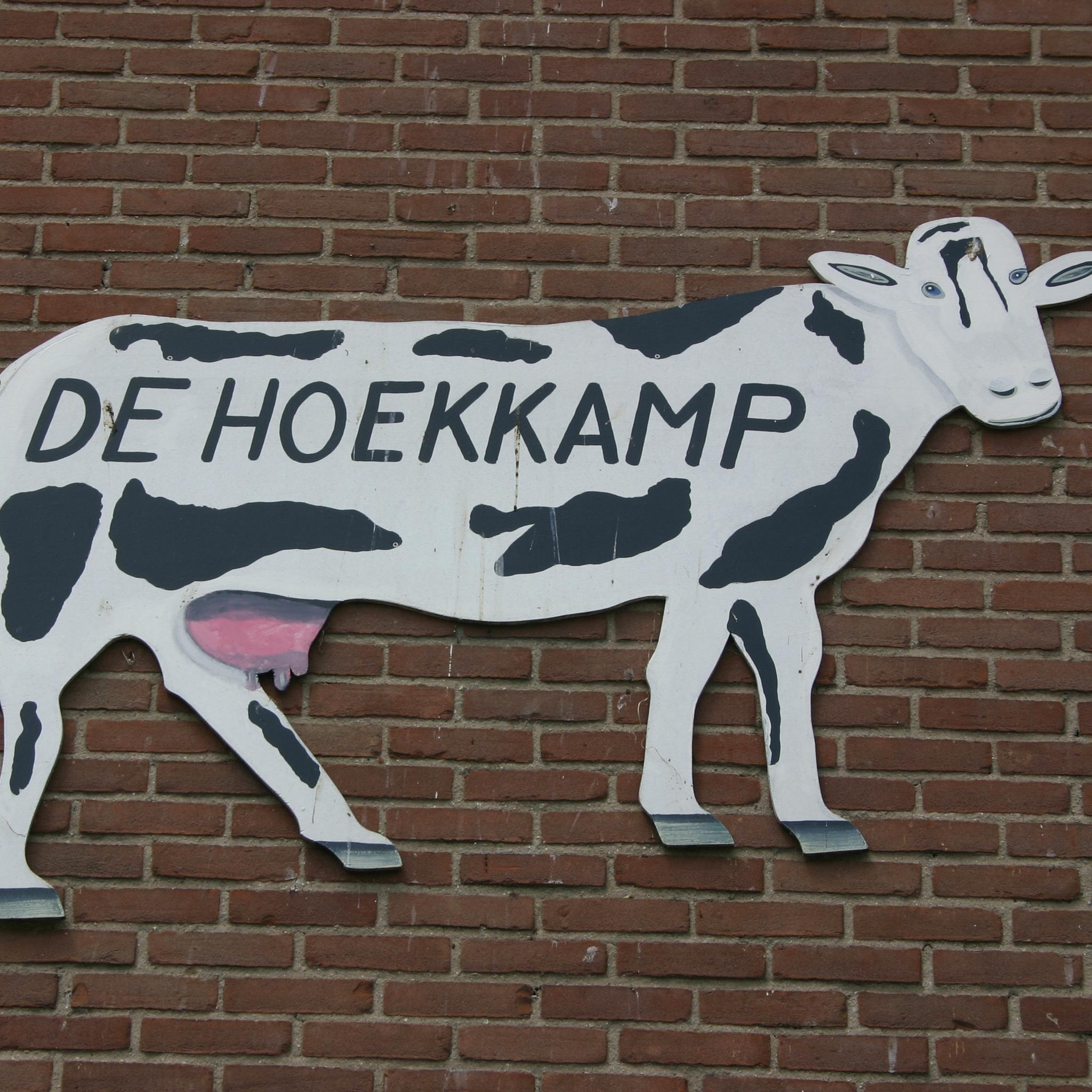 Voor kinderen van 4 t/m 11 jaar is boerderij de Hoekkamp geopend voor alle kinderfeestjes en dagje uit met het gezin. informatief, educatief, gezellig en leuk!