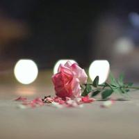 دلوعة جادة (@yemen1234567892) 's Twitter Profile