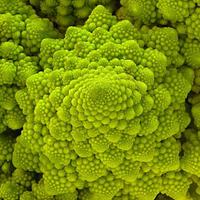 Stefanie Schirmer (@linse) 's Twitter Profile