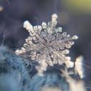 Robyn Carey Dundee - @dunrobyn2015 - Twitter