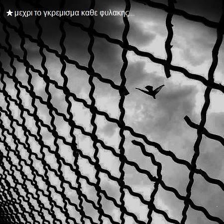 ΜΠΑΤΣΟΙ -Τ.V- ΝΑΖΙ -ΟΛΑ ΤΑ ΚΑΘΑΡΜΑΤΑ ΔΟΥΛΕΥΕΤΕ ΜΑΖΙ