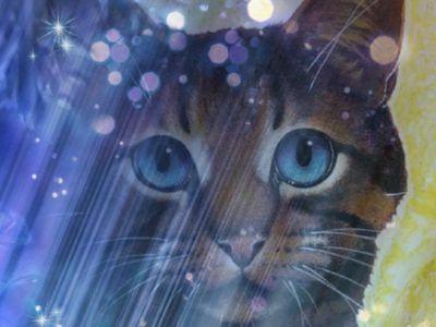 I am Halfmist. A Tabby She-cat. Friendly to those with good intentions. #Single