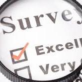 Online Survey Taking Expert