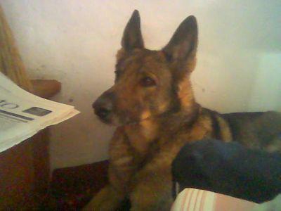 moberta66's profile picture. 