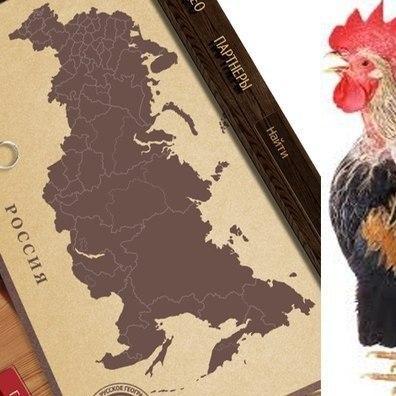 PetrovushPetro's profile picture. 