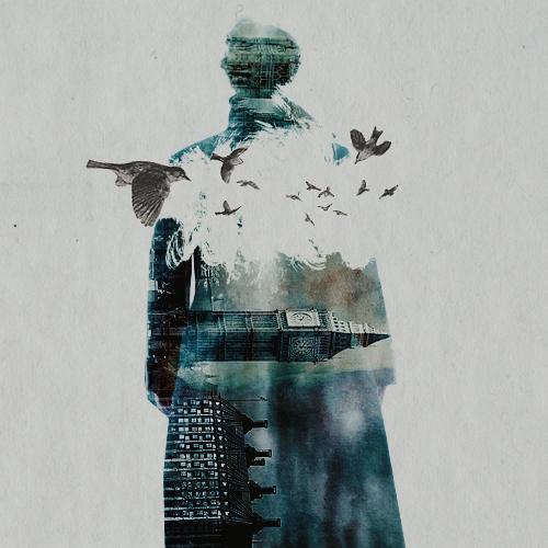 #Echelon #Killjoy  #Sherlock #DoctorWho @lacrimosa2113 -  личный сорт Стаса Михайлова
ДР - 30 августа