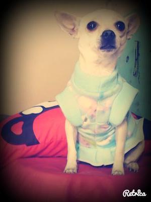 ArleethGaarciia's profile picture. 