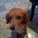 Jose Alberto Loredo  - @la_jalg - Twitter