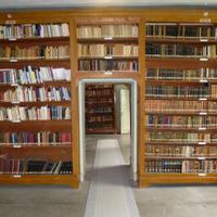 David Lefebvre (@thaumasthen) 's Twitter Profile Photo