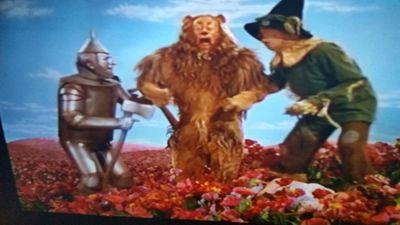 MonaGabbard's profile picture. 