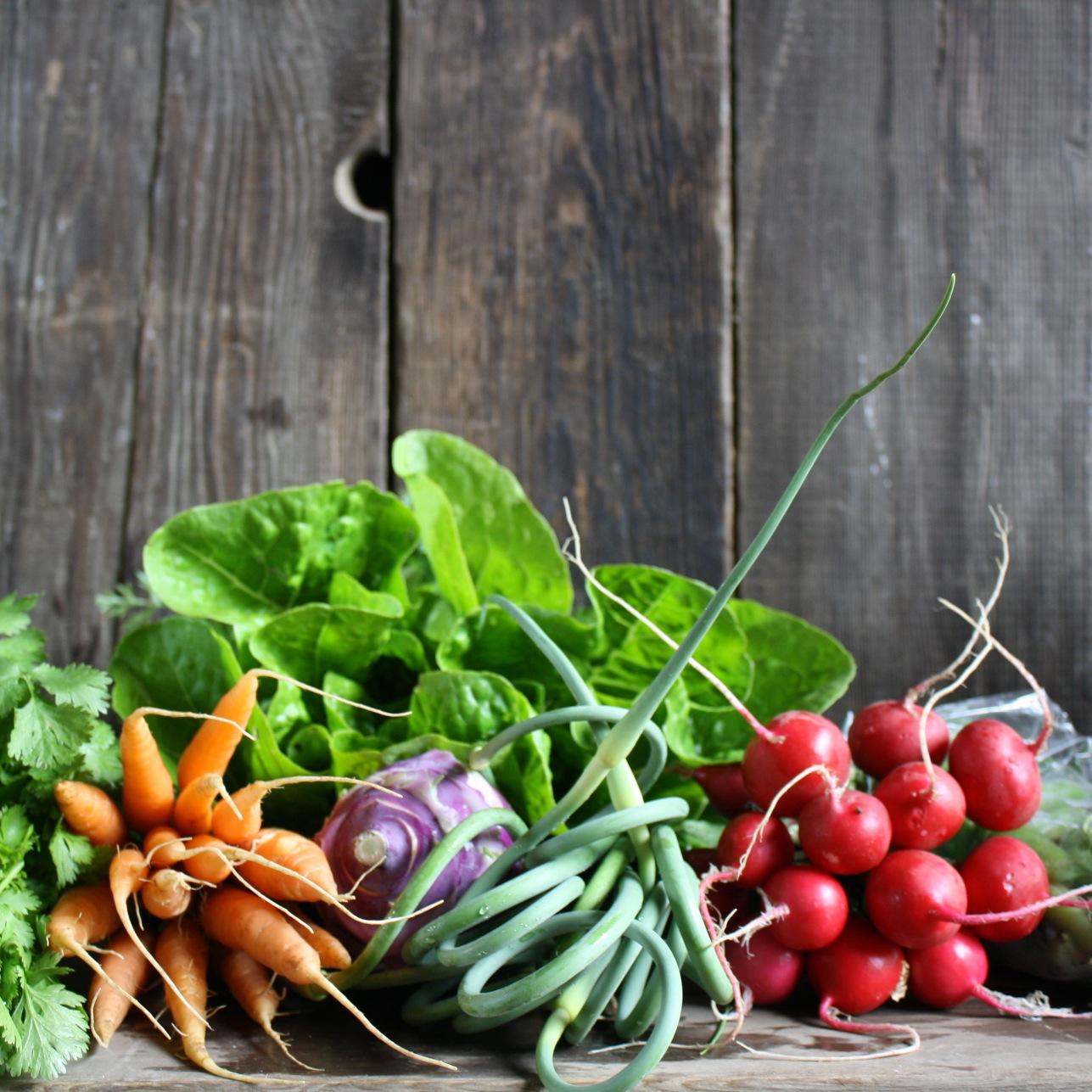 WobblyCartFarm's profile picture. 