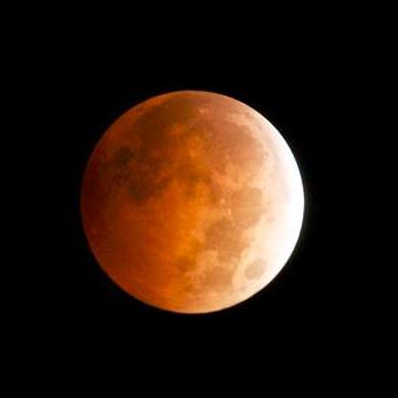 DanSYang's profile picture. 