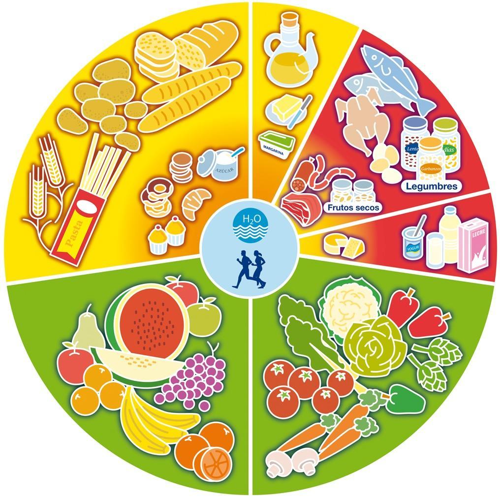 La Sociedad española de dietética y ciencias de la alimentación (SEDCA) es una entidad científica que trabaja en pro de una alimentación saludable desde 1986.