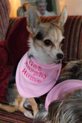 ReedLyndsey's profile picture. #getmurphyhome part of the team x work with adults who have alzhiemers and various forms of dementia x