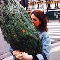 Jessica Sestili (@jsestili) 's Twitter Profile