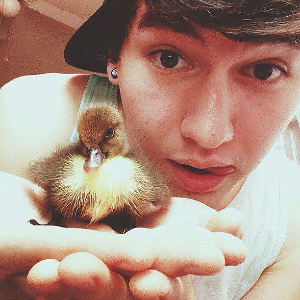 this is a free follow from @mahogrieskians go follow her and ask her for a follow back xx