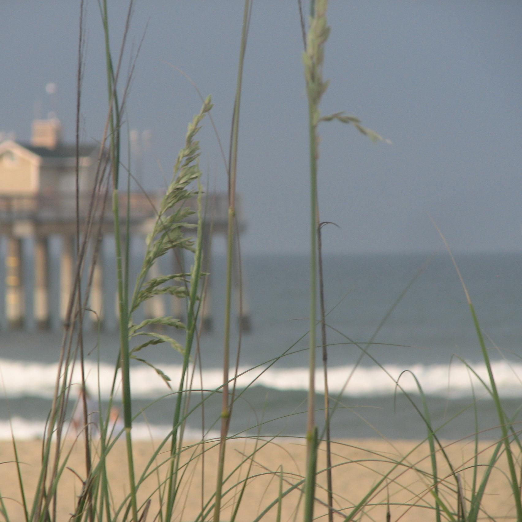 mamamia54's profile picture. Proud Anderson University Alum who loves Jesus and His faithfulness, her family, teaching, awesome friends, and students who walk the walk with integrity.