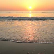 Best of florida