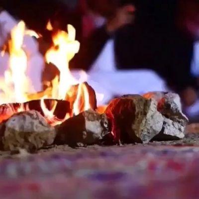 3357681gmailco1's profile picture. 