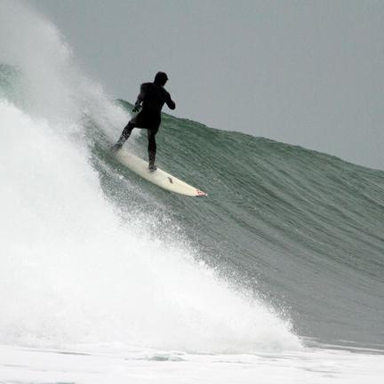 101_coote's profile picture. 