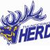 Elk Grove Basketball (@herdbasketball) Twitter profile photo