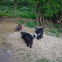 Priscilla Kirk - @KirkCilla - Twitter