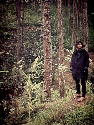 ahmadF_2's profile picture. 