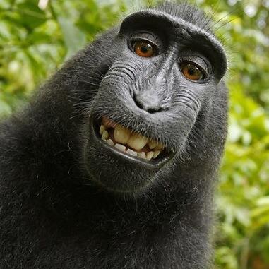 suayxver's profile picture. 