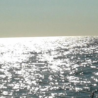 SandrineCompain's profile picture. 