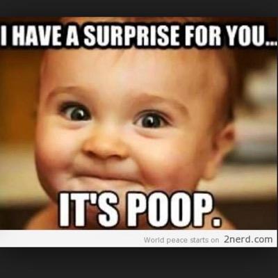 xXLANERS123Xx's profile picture. 