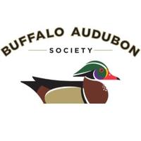 Buffalo Audubon (@buffaloaudubon) 's Twitter Profile